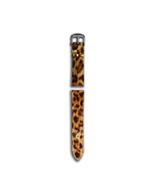 Leopard Animal Skin