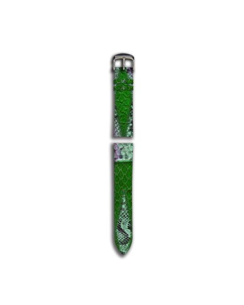 Crocodile Belt2